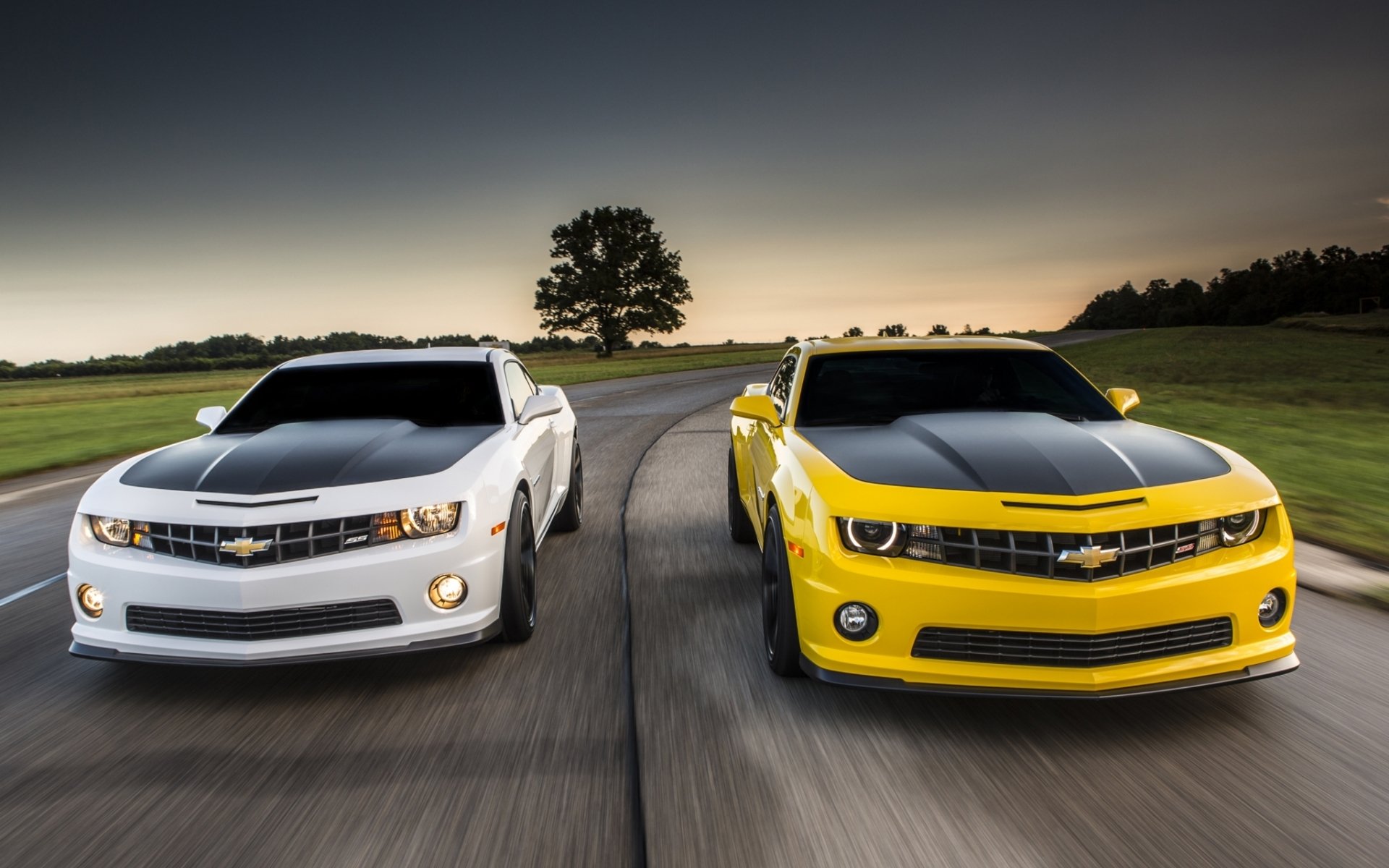 chevrolet camaro 1le chevrolet camaro giallo bianco anteriore muscle car muscle car strada cielo