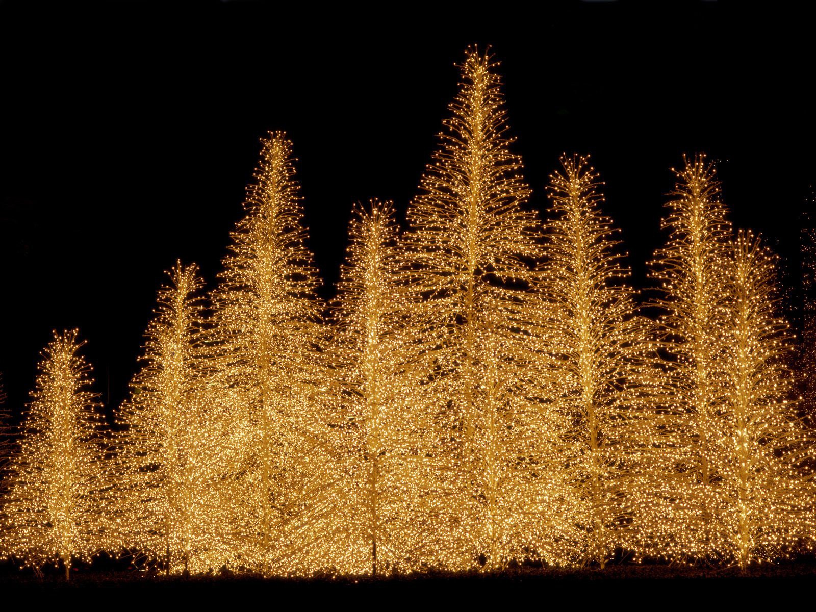 árbol de navidad luces año nuevo navidad