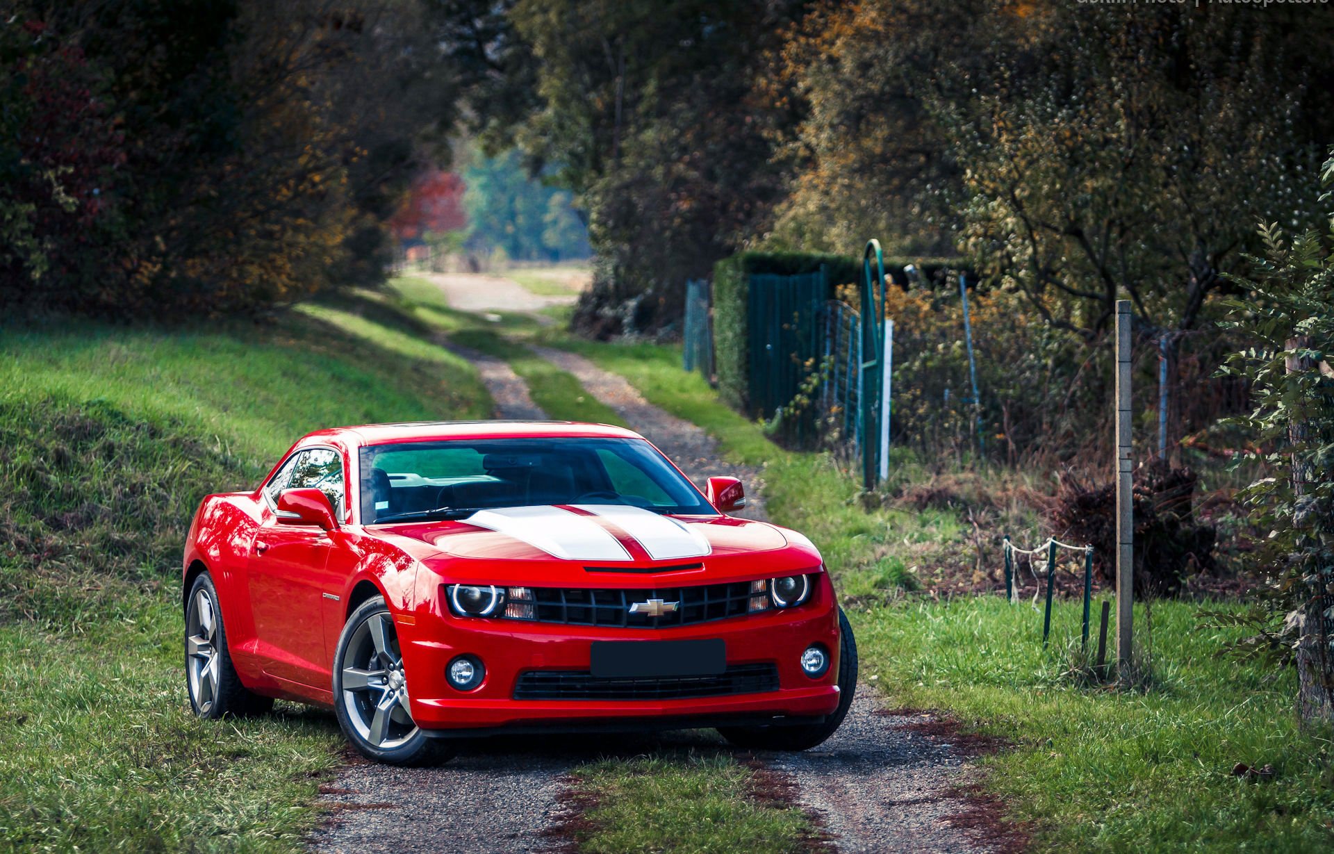 chevrolet camaro muscle car red chevrolet camaro muscle car red