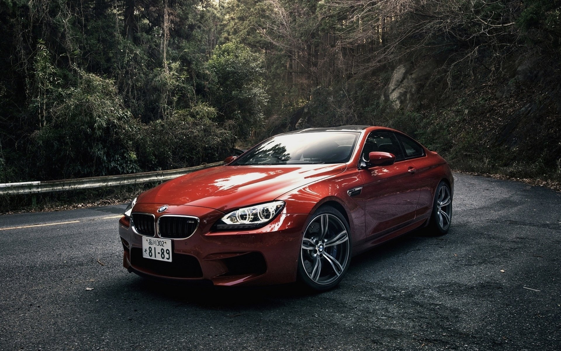 bmw m6 coupe japonia spec pomarańczowy bmw m6 pomarańczowy samochód las