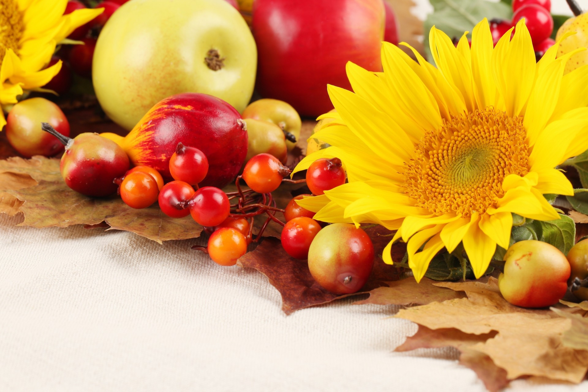 fruits flower apple