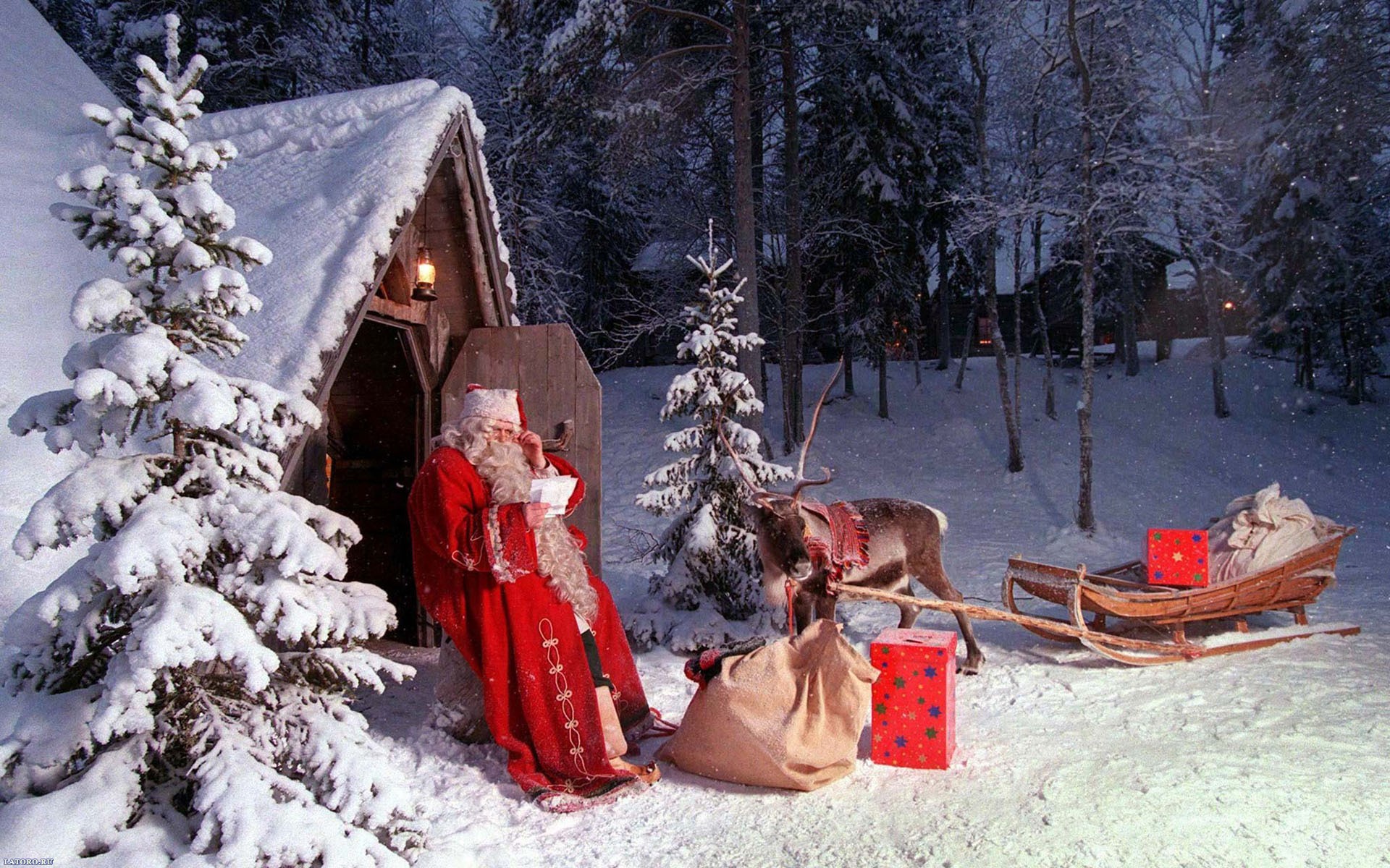 cerf père noël hiver nouvel an noël