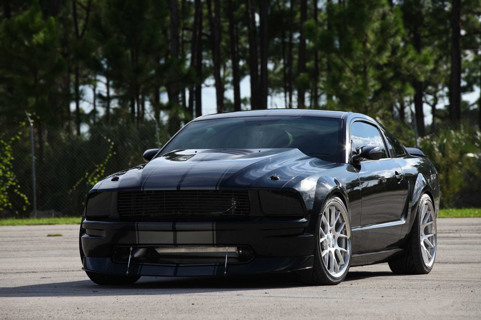 ford mustang noir arbres rayures réflexion