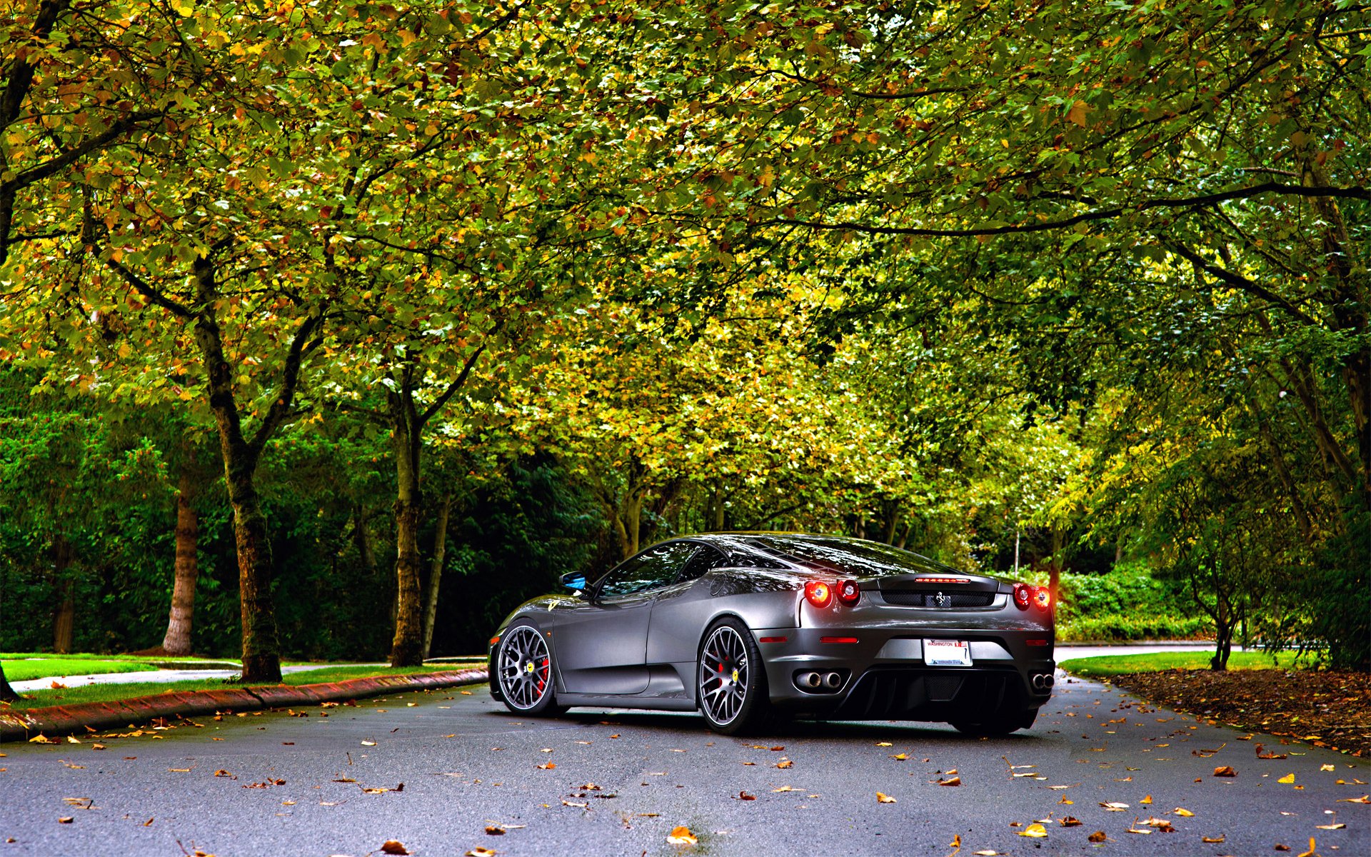 ferrari tuning silber räder herbst bäume blatt grün asphalt