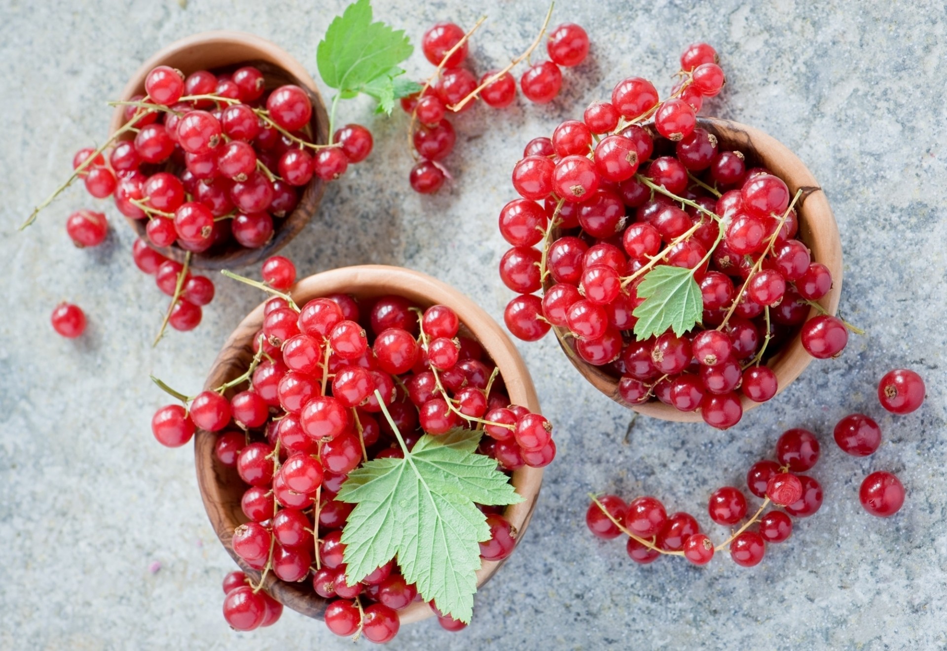 bowls berries red currant currant