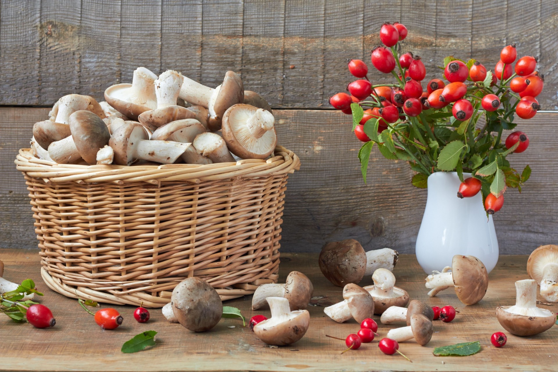 dog rose hawthorn mushrooms shopping