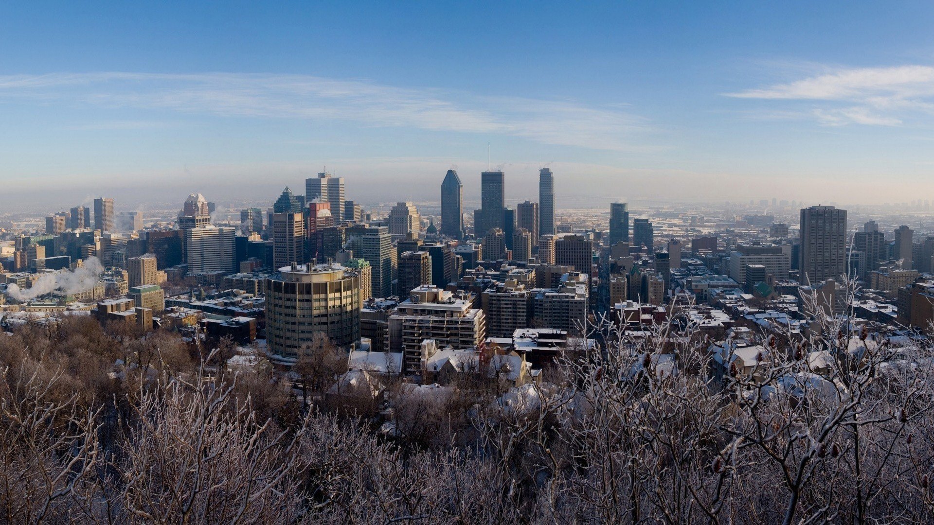 montreal canadá árboles nieve invierno