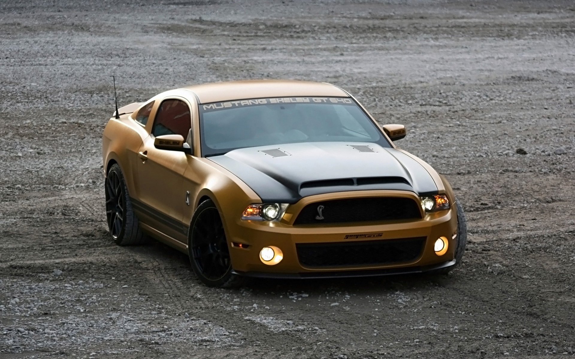 gt640 золотой змеи cars auto shelby ford mustang