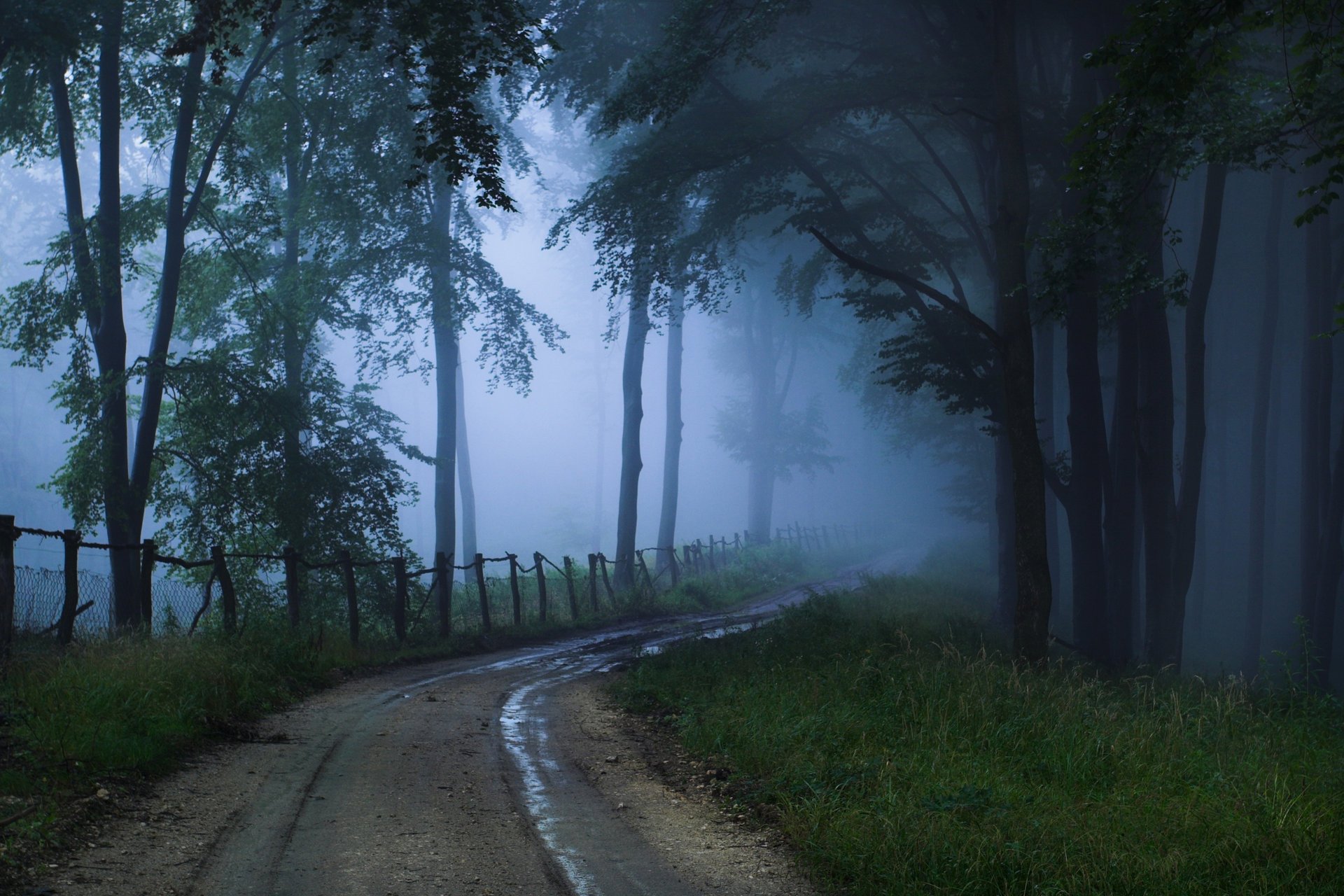 suspense strada nebbia