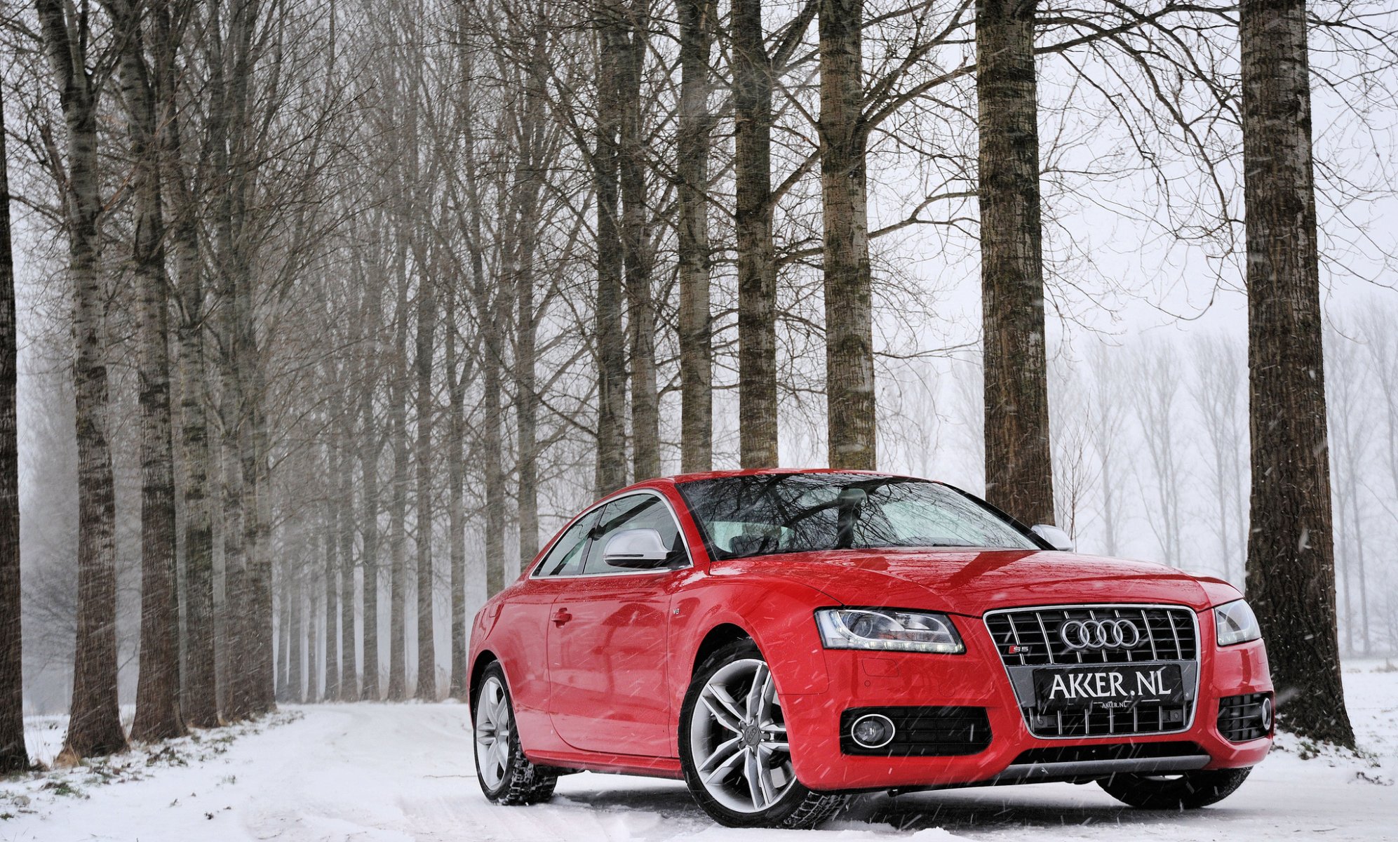 audi s5 rouge audi rouge hiver neige forêt arbres