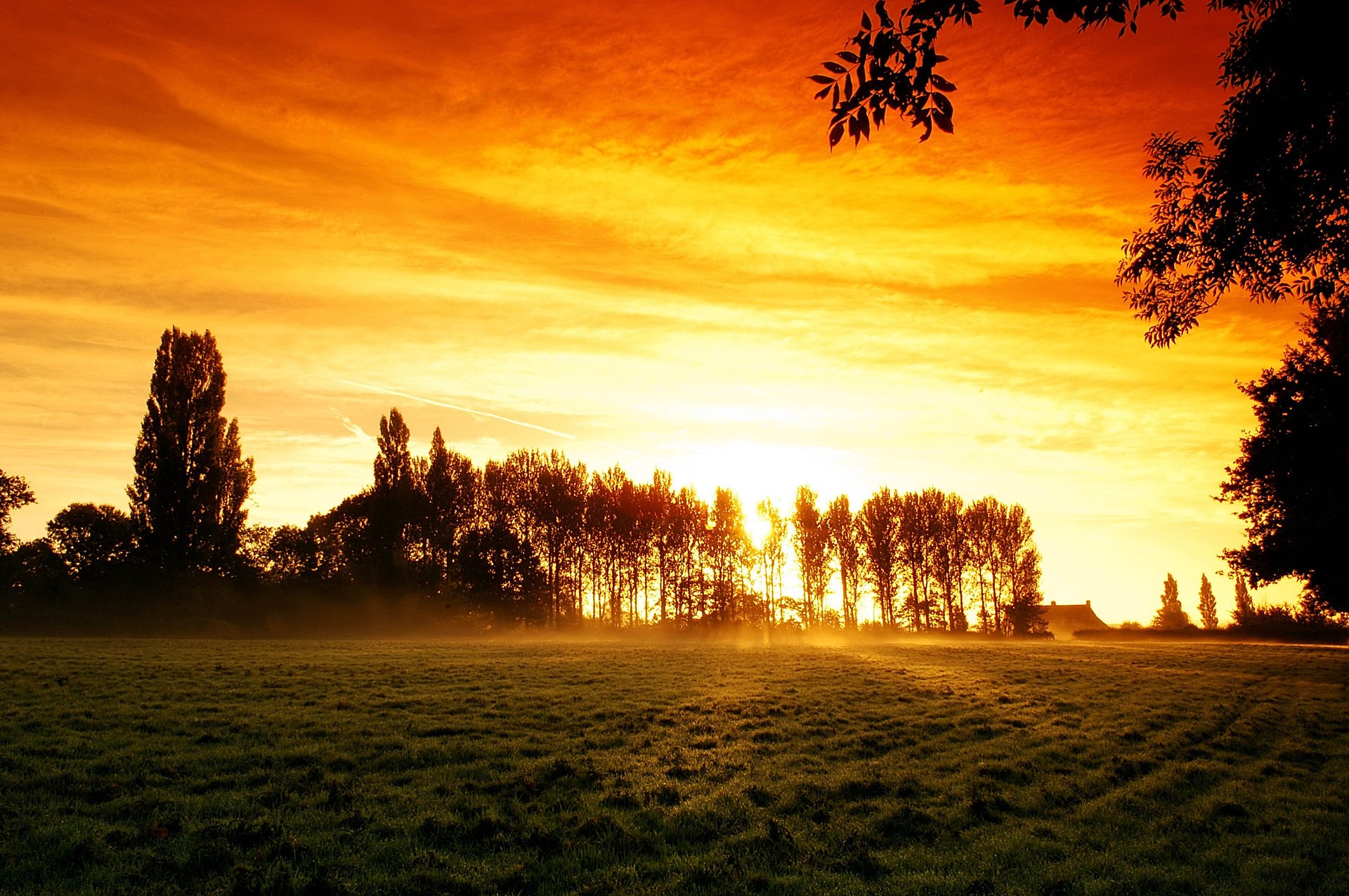 puesta de sol árboles naturaleza