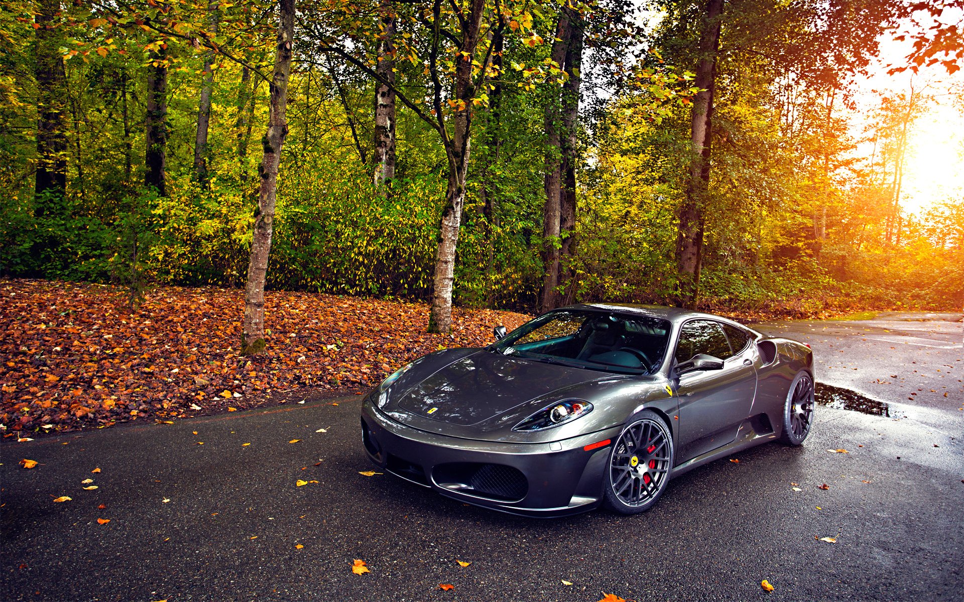 ferrari tuning plata ruedas otoño árboles hoja sol verde asfalto