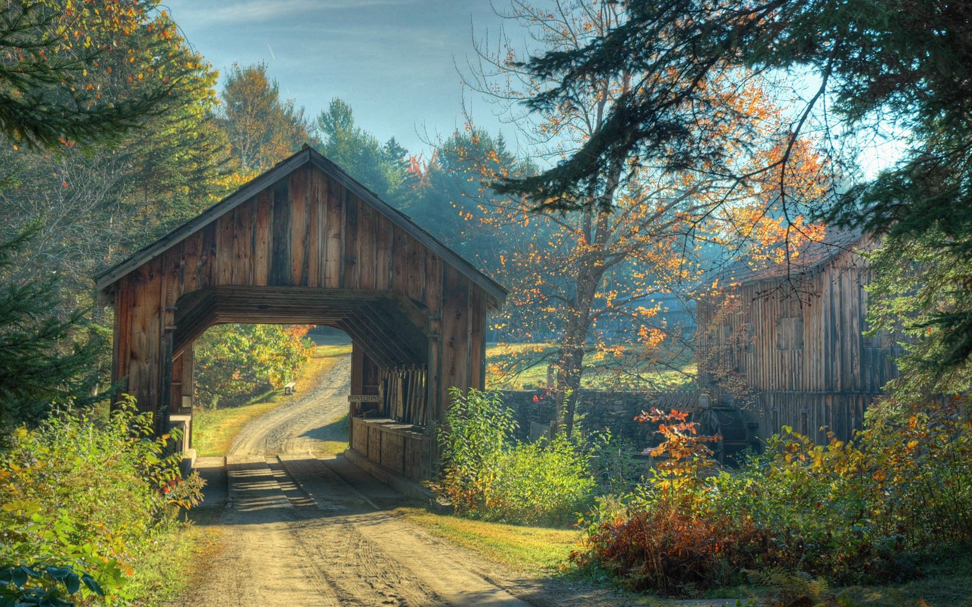 natura ponte foresta strada autunno alberi