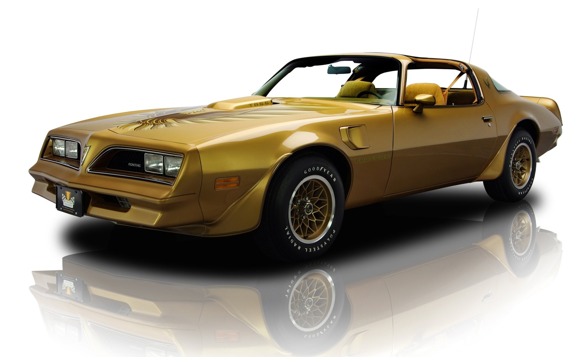 pontiac feuervogel trans am y-88 gold special edition 1978 pontiac fairbed trans am special.version front golden muscle car muscle car reflexion hintergrund