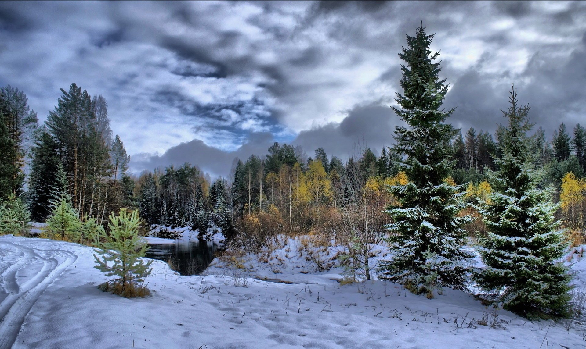 zima las śnieg drzewa rzeka