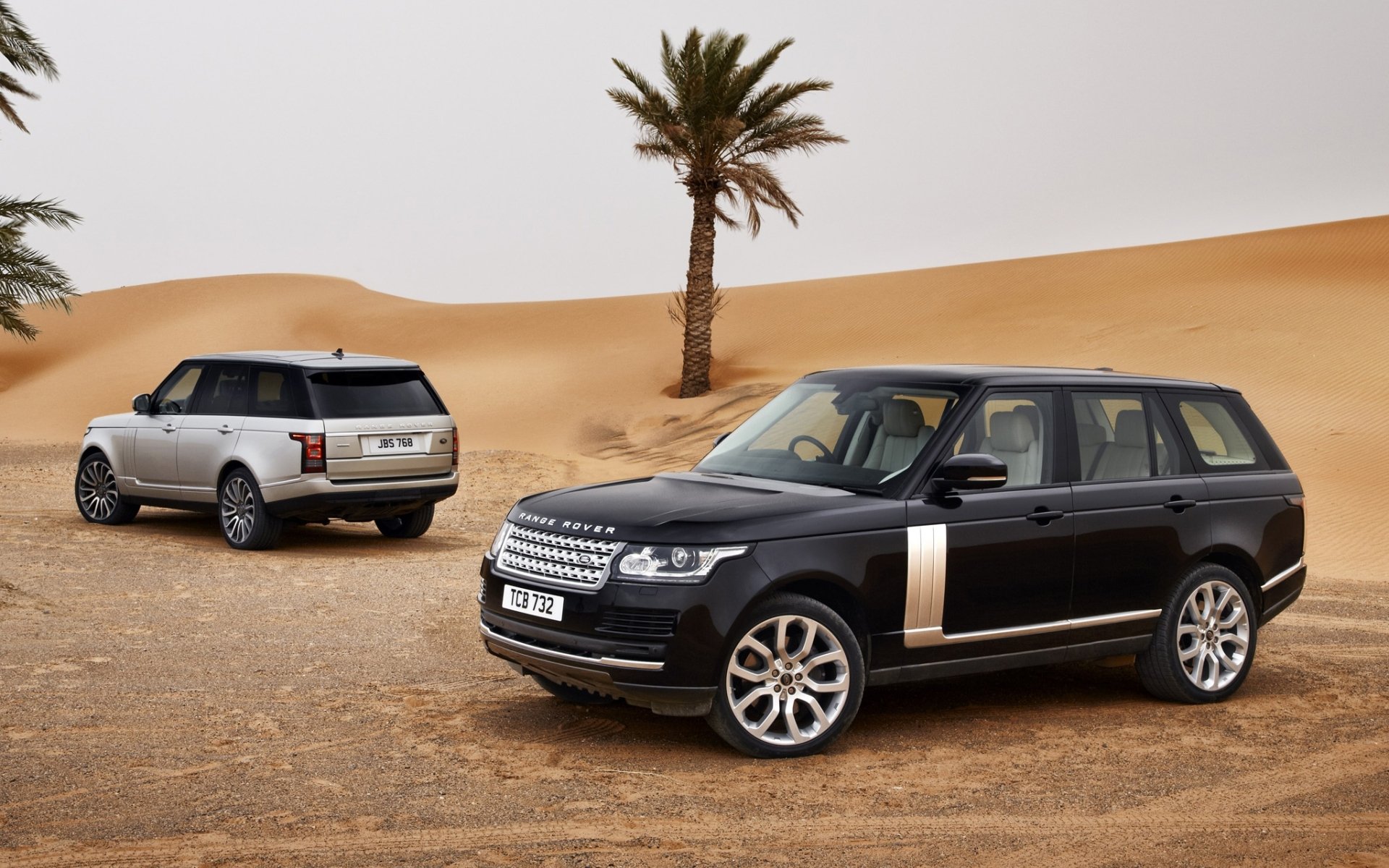 land rover range rover ленд ровер ренж ровер джип внедорожник передок вид сзади серебристый песок пустыня пальмы небо