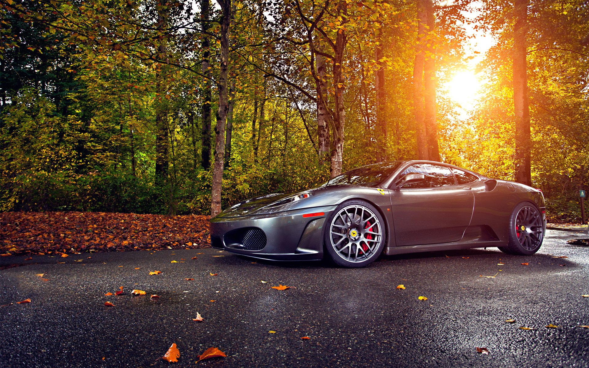 ferrari tuning silver wheels autumn trees leaf sun green asphalt