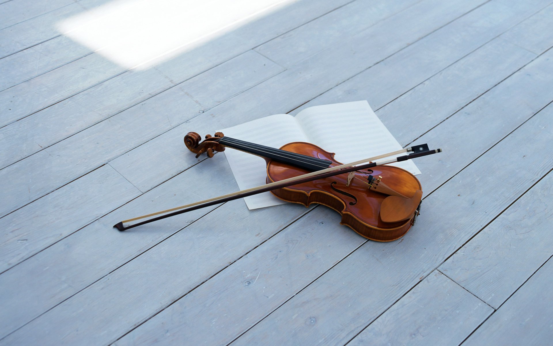 violín arco violin arco