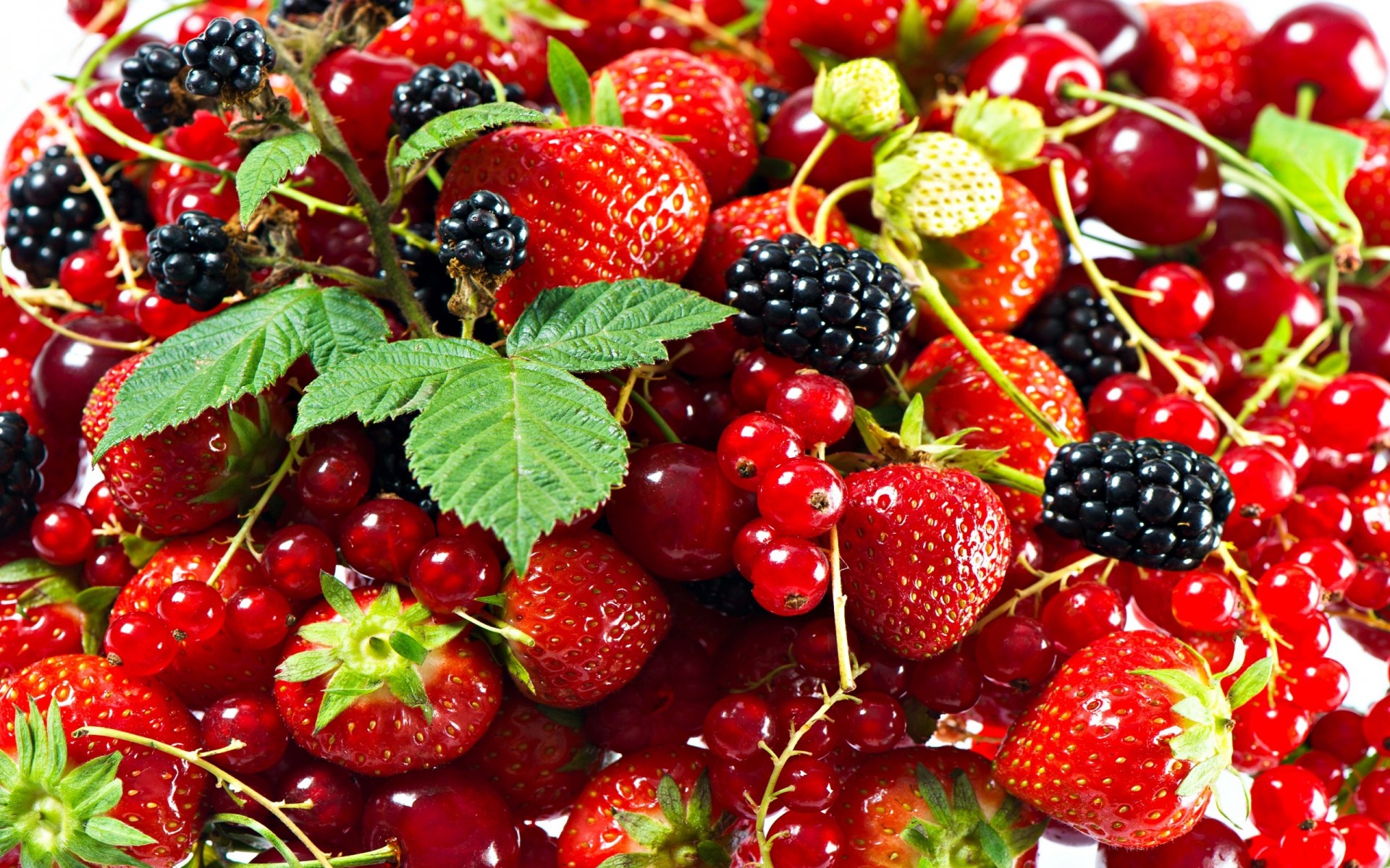 bayas fresas moras