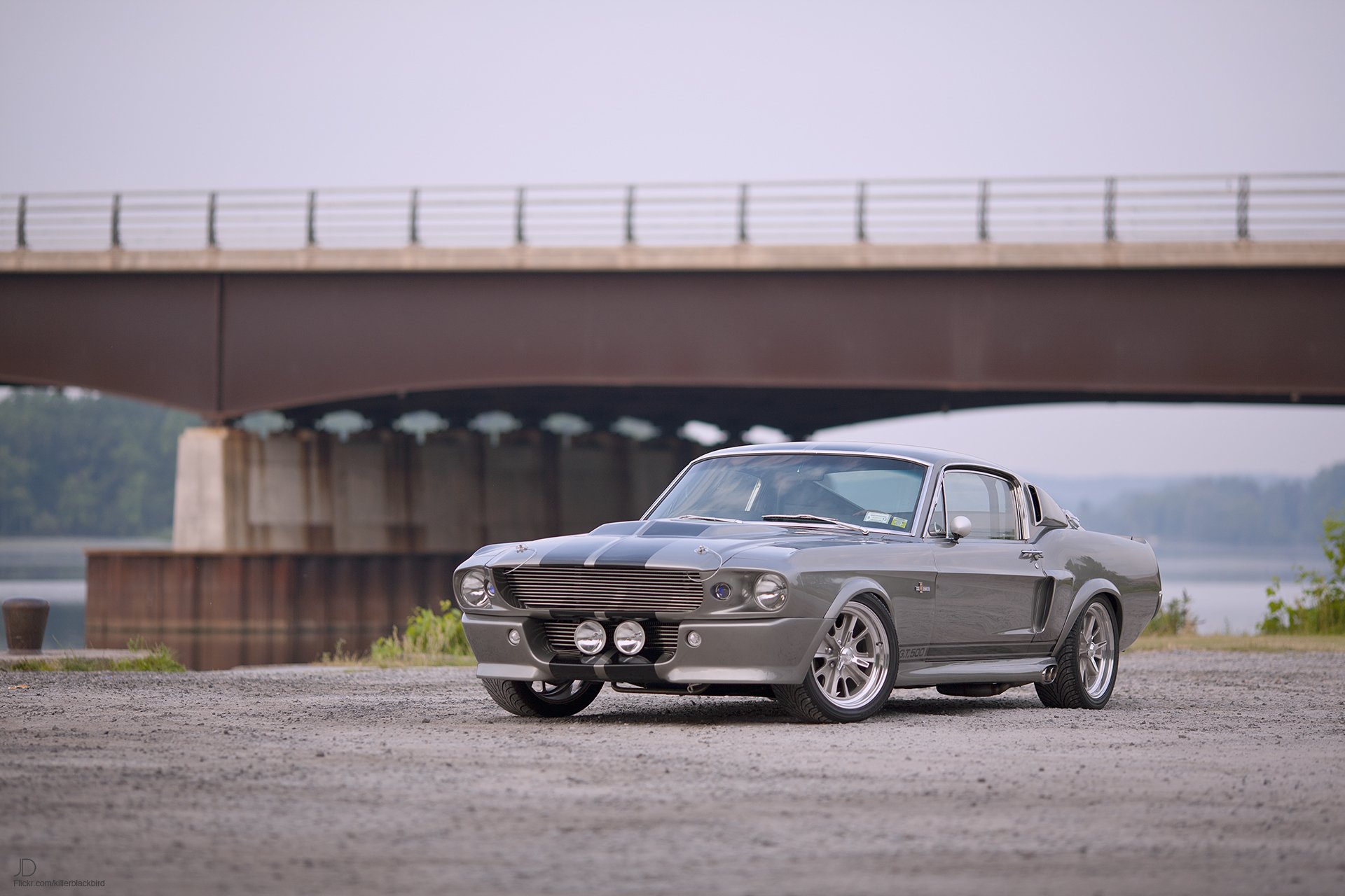 ford mustang gt500 shelby eleanor legende muskelauto straße brücke hintergrundbilder