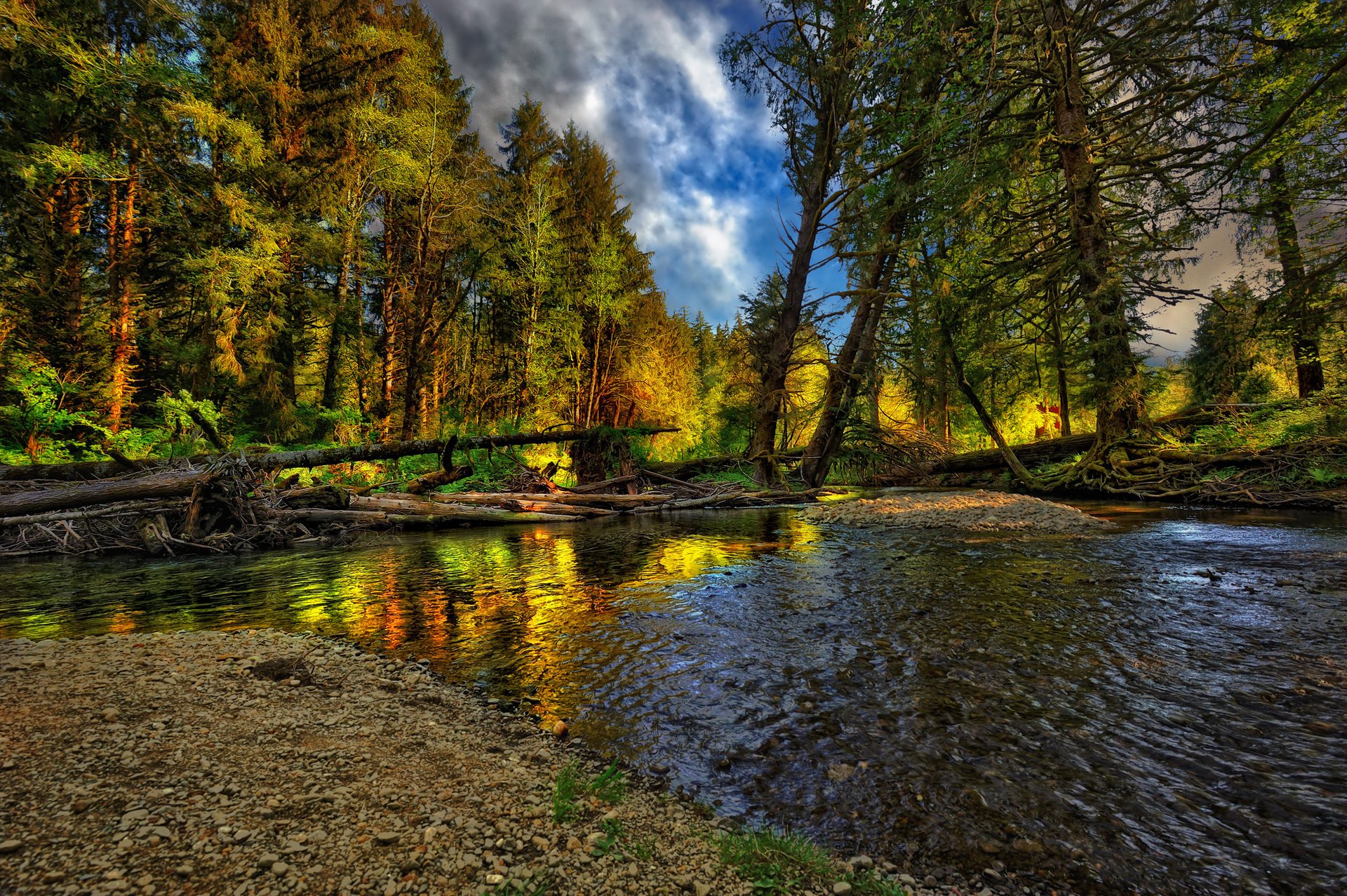 nature beautiful river forest nice cool landschaft autumn natur landscape