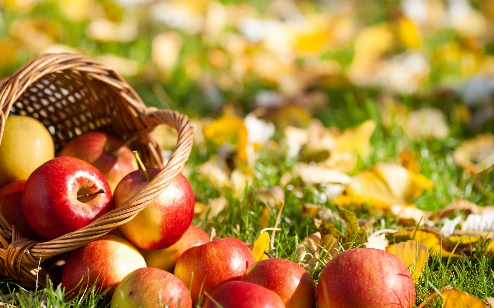 fruits sheet grass shopping apple