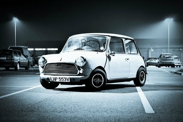 Belle photo de minicuper blanc