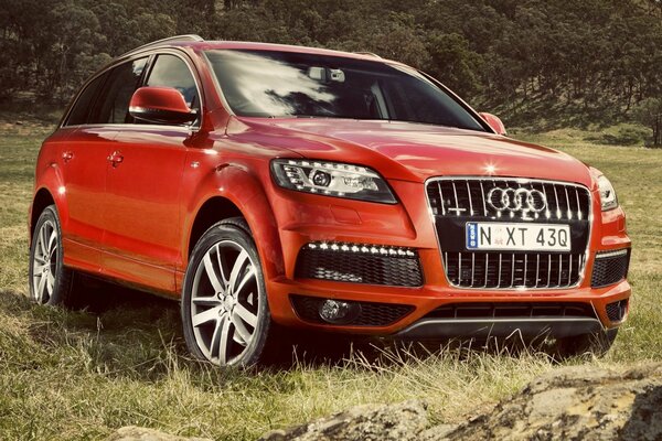 Dans notre champ à travers la forêt, audi q7 a été utile