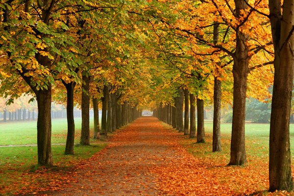 Goldener Herbstpark mit Kastanien