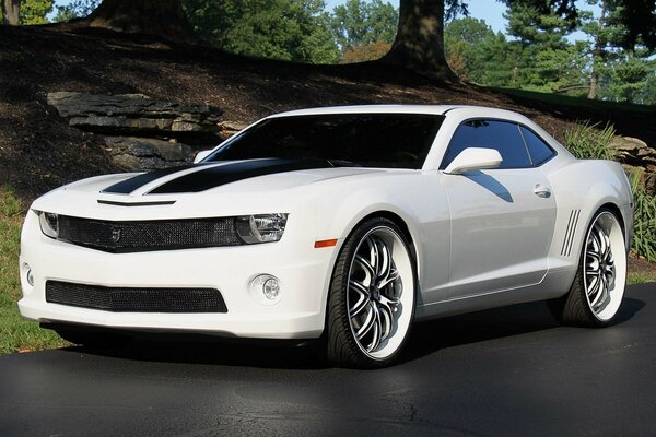 Chevrolet camaro white on cool wheels