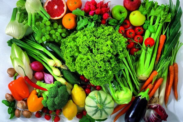 Assorted vegetables and herbs on a white background