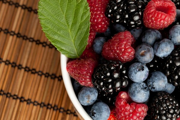 La diversité des fruits? framboises, bleuets, mûres