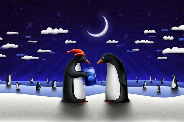 Prezent dla pingwina w Nowym Roku