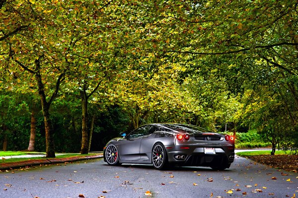 Silberner Ferrari auf der herbstblauen Straße