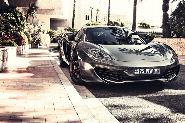 McLaren sports car among the sun and palm trees