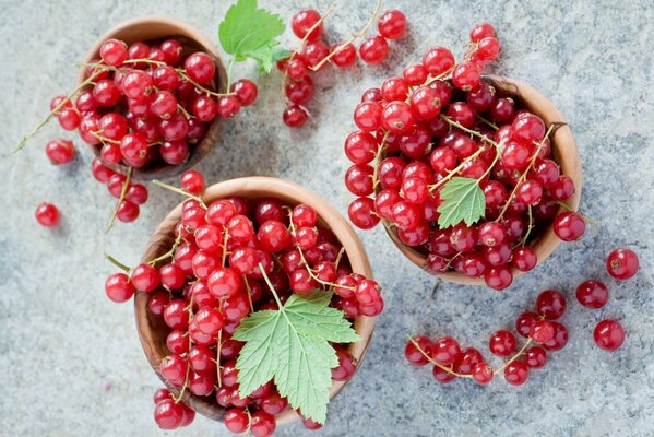 Beeren der roten Johannisbeere in Tassen