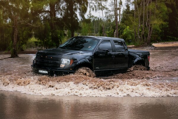 For a black Ford, what a forest, what a swamp