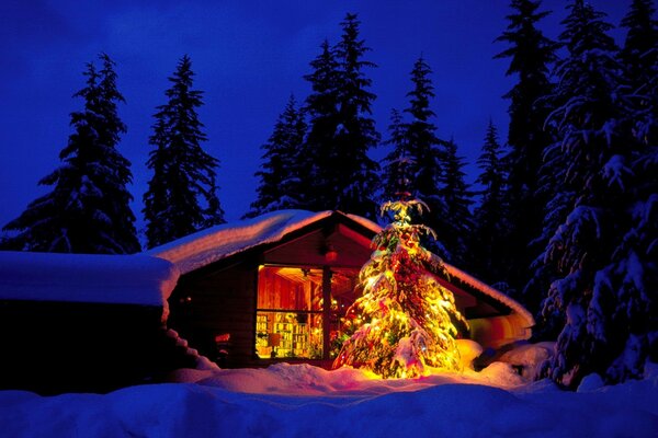 Haus mit Weihnachtsbaum auf dem Hintergrund der Waldlandschaft