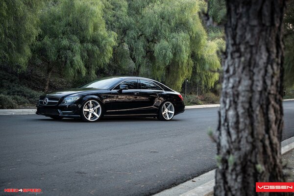 Mercedes Benz noir sur fond d arbres verts