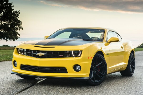 Tout le monde veut monter une Chevrolet jaune