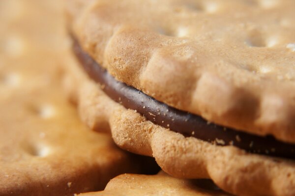 Crème sucrée au chocolat dans les biscuits