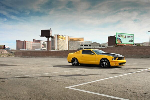 Gelb-schwarzer Ford Mustang gt500 Fotos in der Stadt