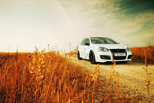 A white car in nature. Orange landscape