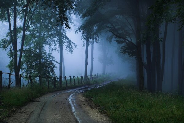 Camino a la oscuridad brumosa