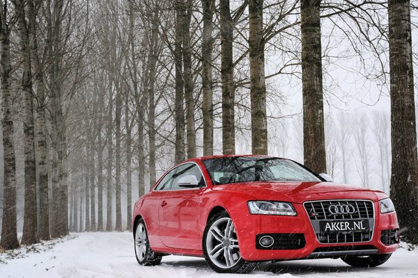 Audi S5 rojo en invierno entre los árboles