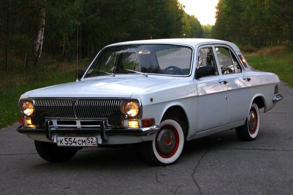 Grigio Retro Volga si trova in mezzo alla strada, intorno agli alberi