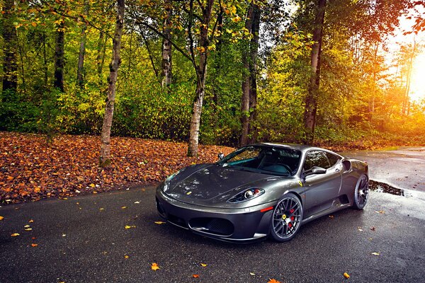 Ferrari-Auto in grauer Farbe auf goldenem Herbsthintergrund