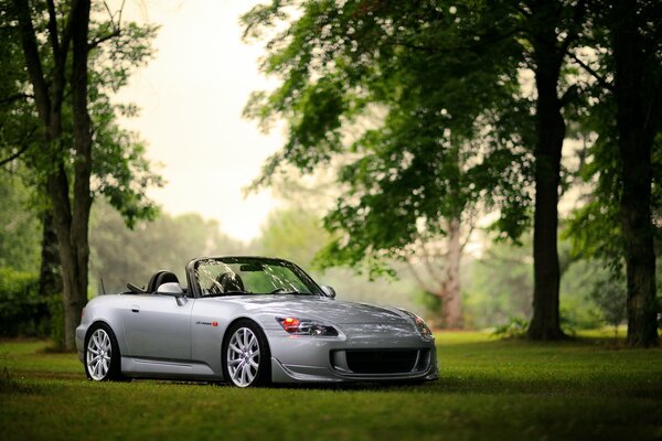 Машина honda s2000 в лесу на траве цвет боке