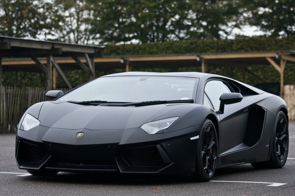 Black Lamborghini Front View C