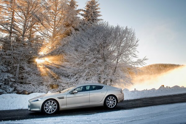 Frostiger Morgen. Kaltes Auto. Farbe Metallic